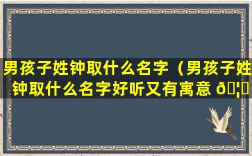 男孩子姓钟取什么名字（男孩子姓钟取什么名字好听又有寓意 🦆 ）